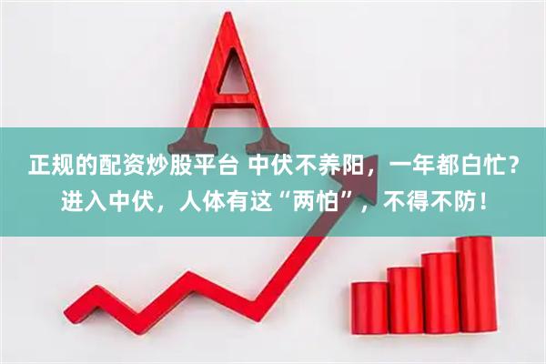 正规的配资炒股平台 中伏不养阳，一年都白忙？进入中伏，人体有这“两怕”，不得不防！